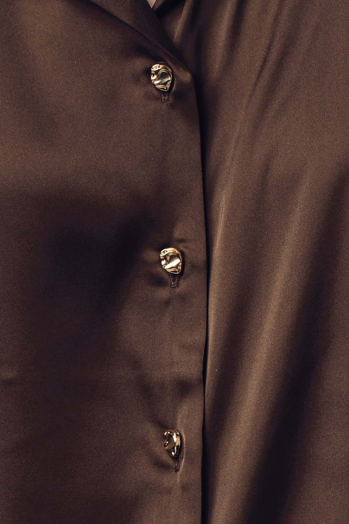 satin button down blouse - brown (additional view)