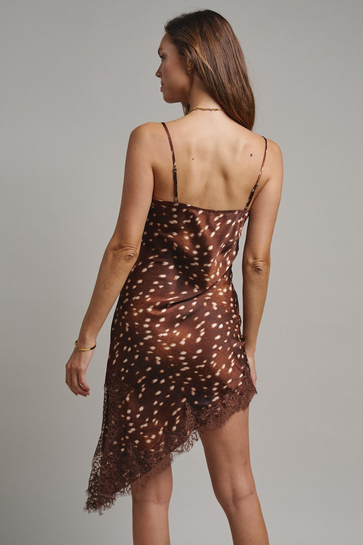 Wild Fawn Lace Mini Dress in Choco - Women's Wholesale Night Out Dresses | Trend Notes