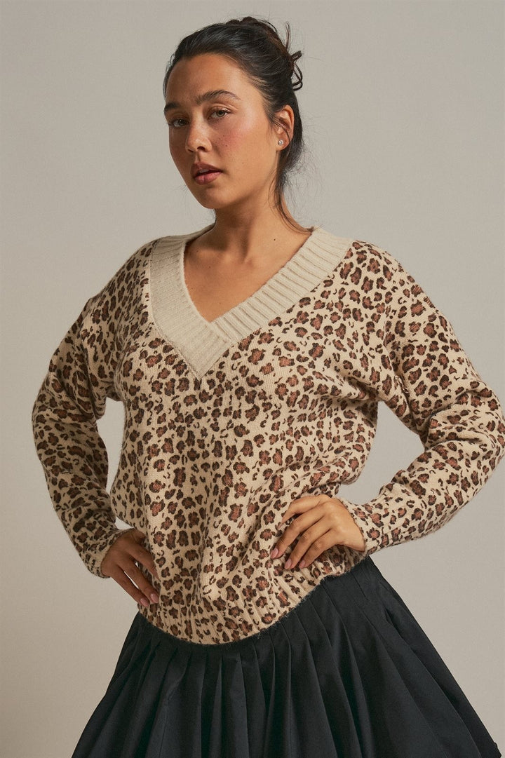 Leopard Print V-Neck Knit Sweater in Leopard - Women's Wholesale Sweaters | Trend Notes