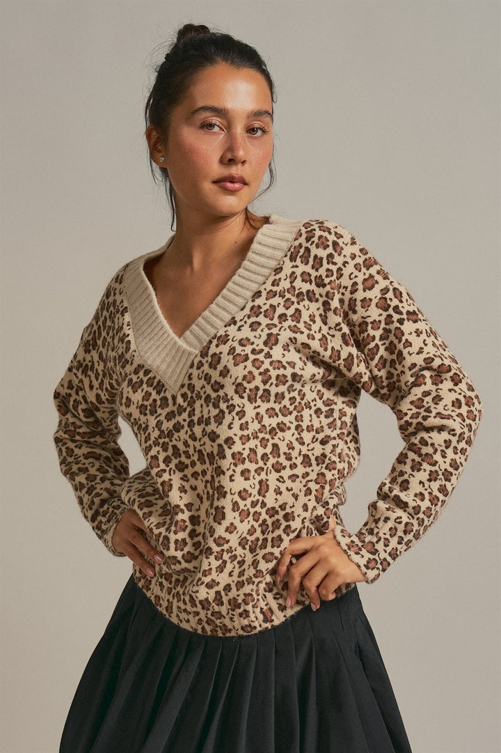 Leopard Print V-Neck Knit Sweater in Leopard - Women's Wholesale Sweaters | Trend Notes
